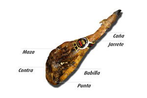 Le diverse parti di un prosciutto Iberico Pata Negra